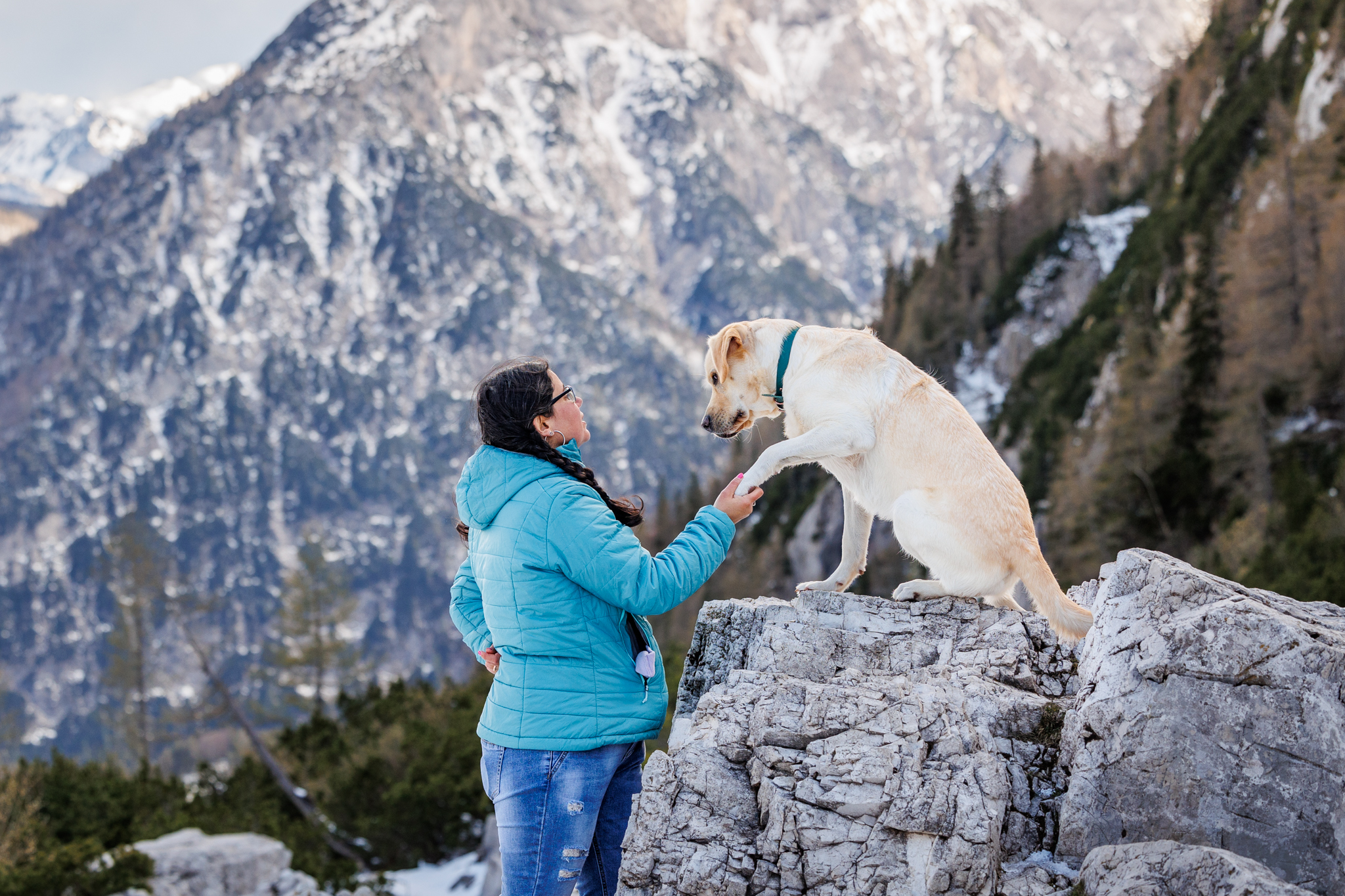 photographe chien animalier suisse