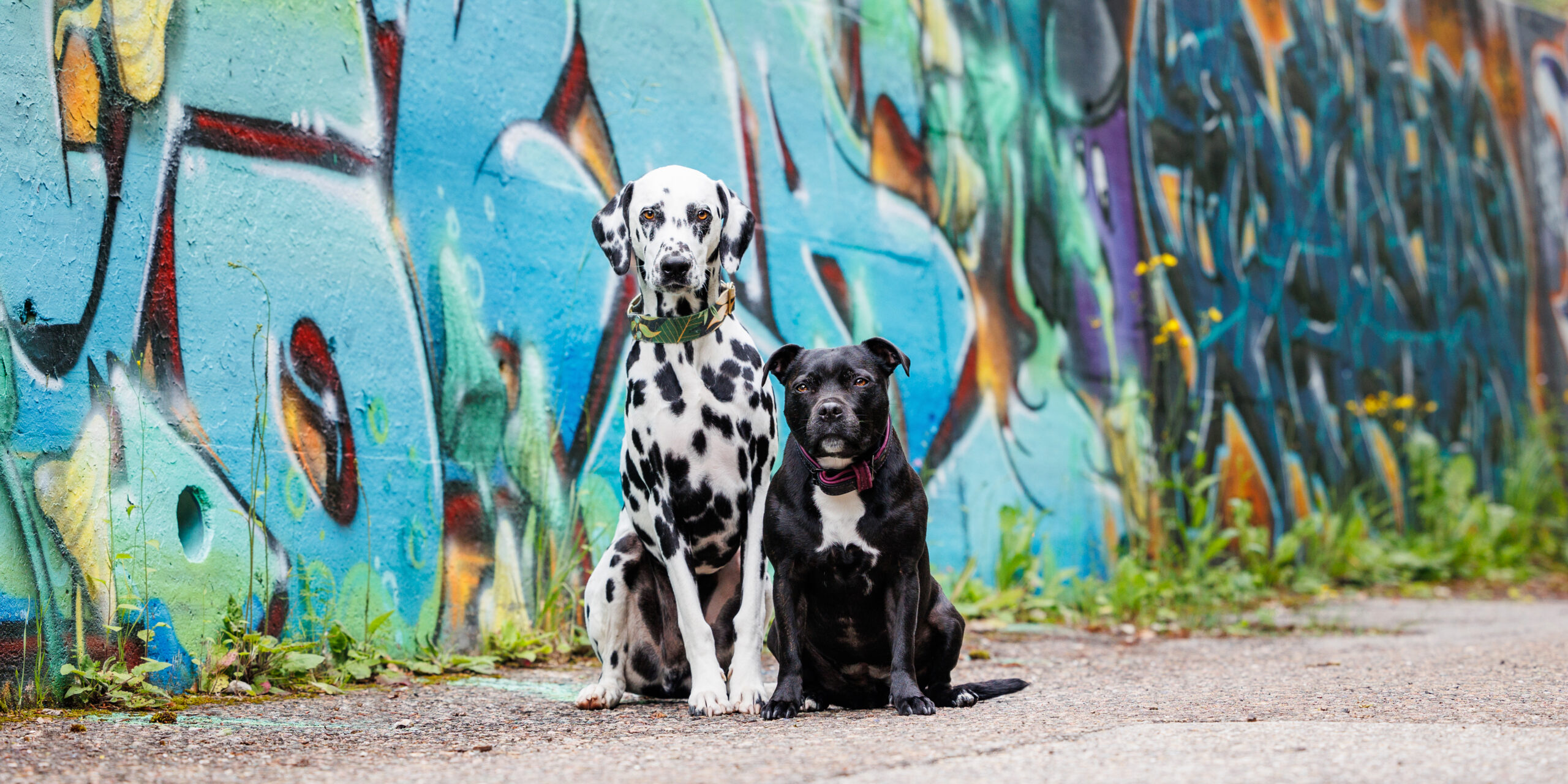 HD-Mayka-Riley-2024-SofiaRothenPhotographie-2
