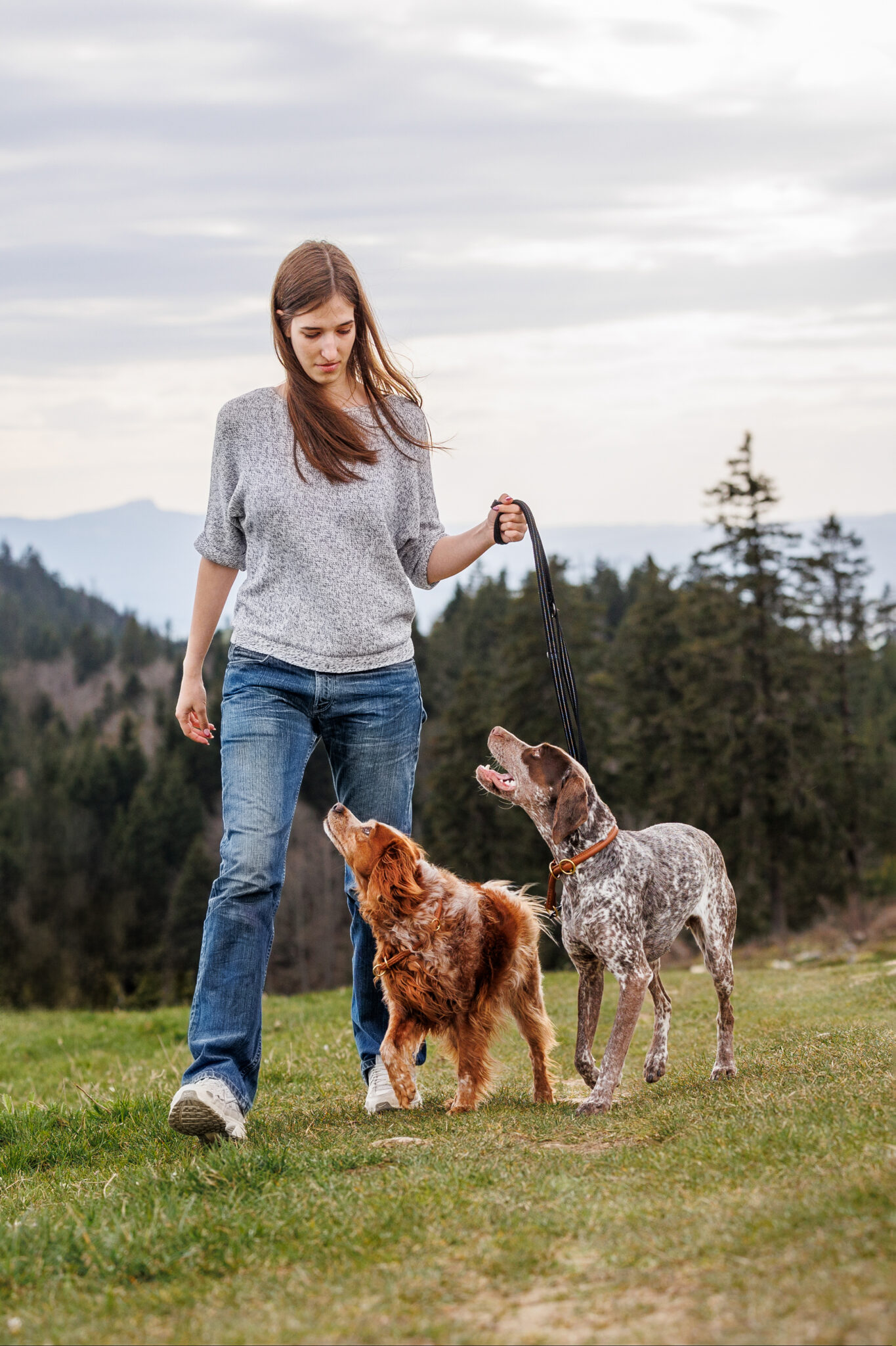 femme qui promène ses chiens dans les montagnes suisses