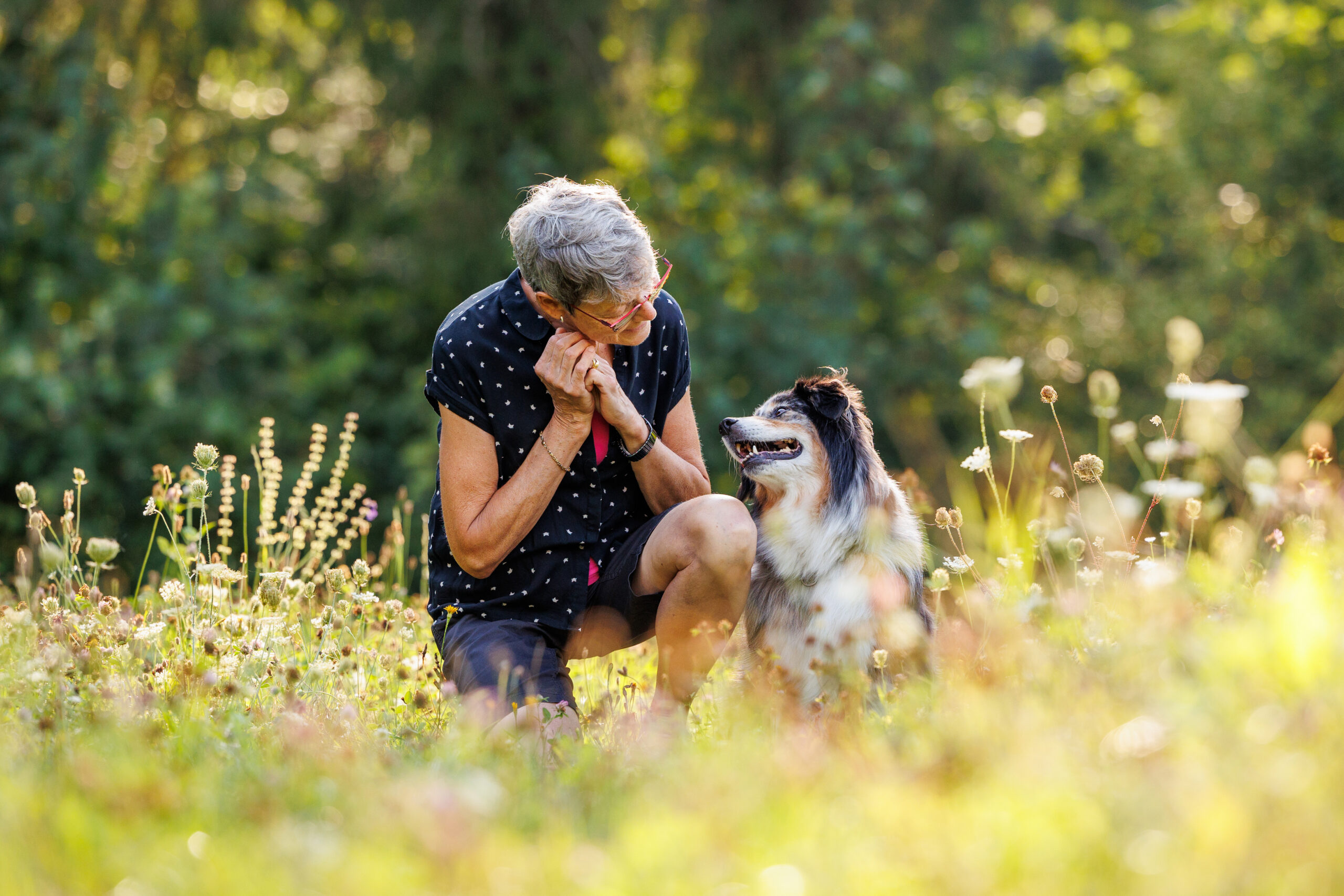 Homme qui marche dans un champ avec son chien berger australien, ils se regardent avec complicité.