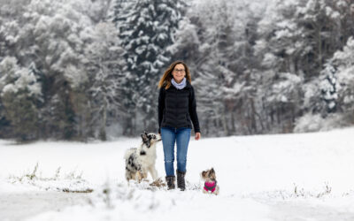 8 idées de cadeaux de Noël pour les amoureux des chiens