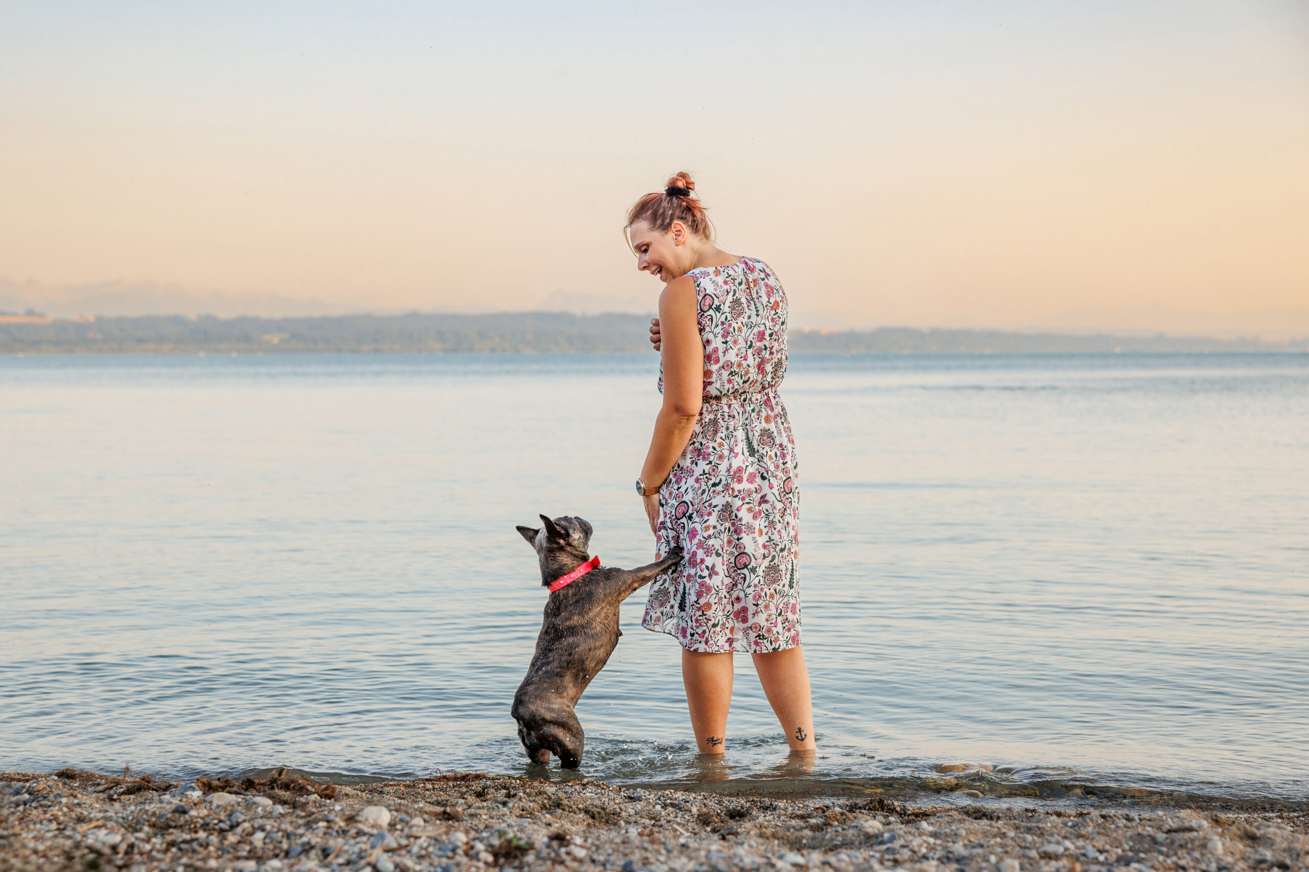 Chien bouledogue français avec son humaine qui jouent au bord du lac de Neuchâtel.