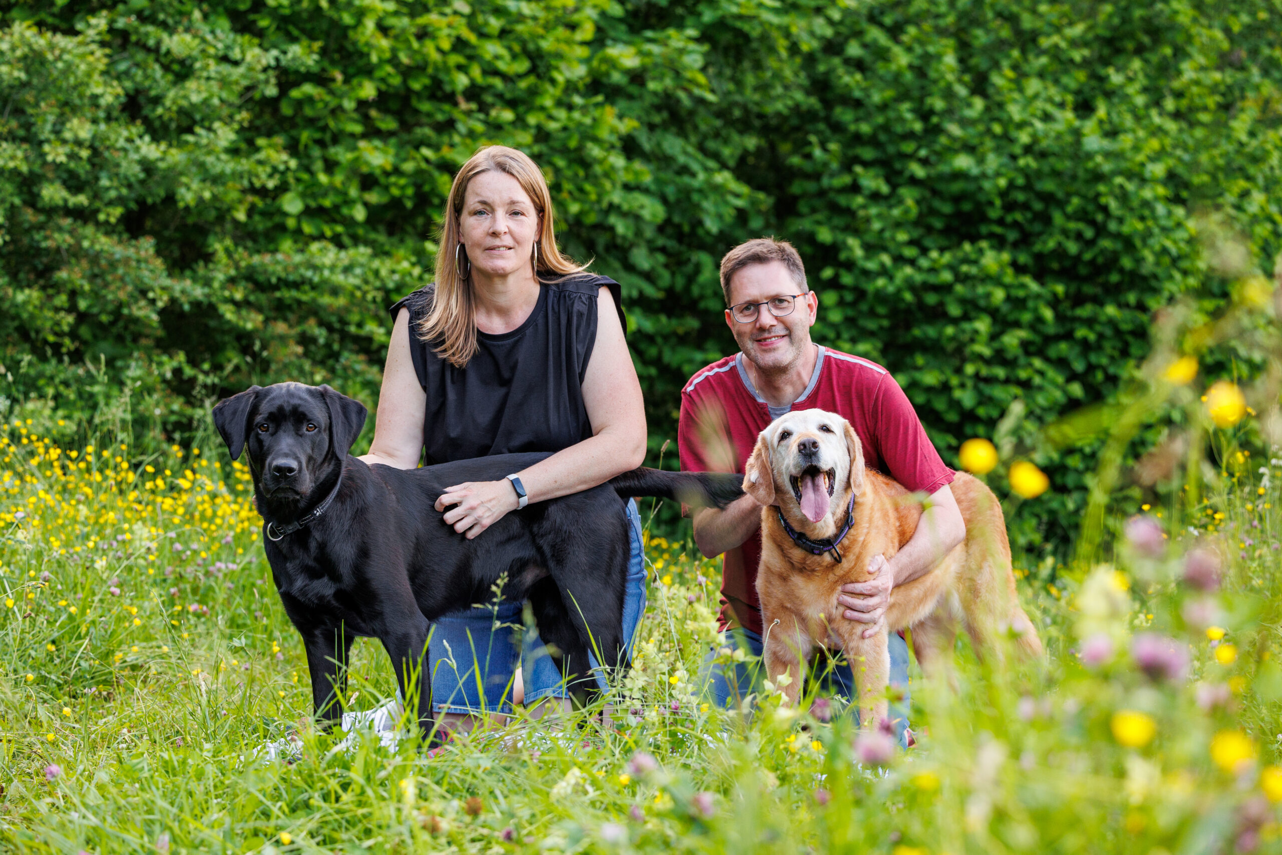 Deux labradors et leurs deux humains qui les caressent lors d'une séance photo dans un champ fleuri en Suisse.