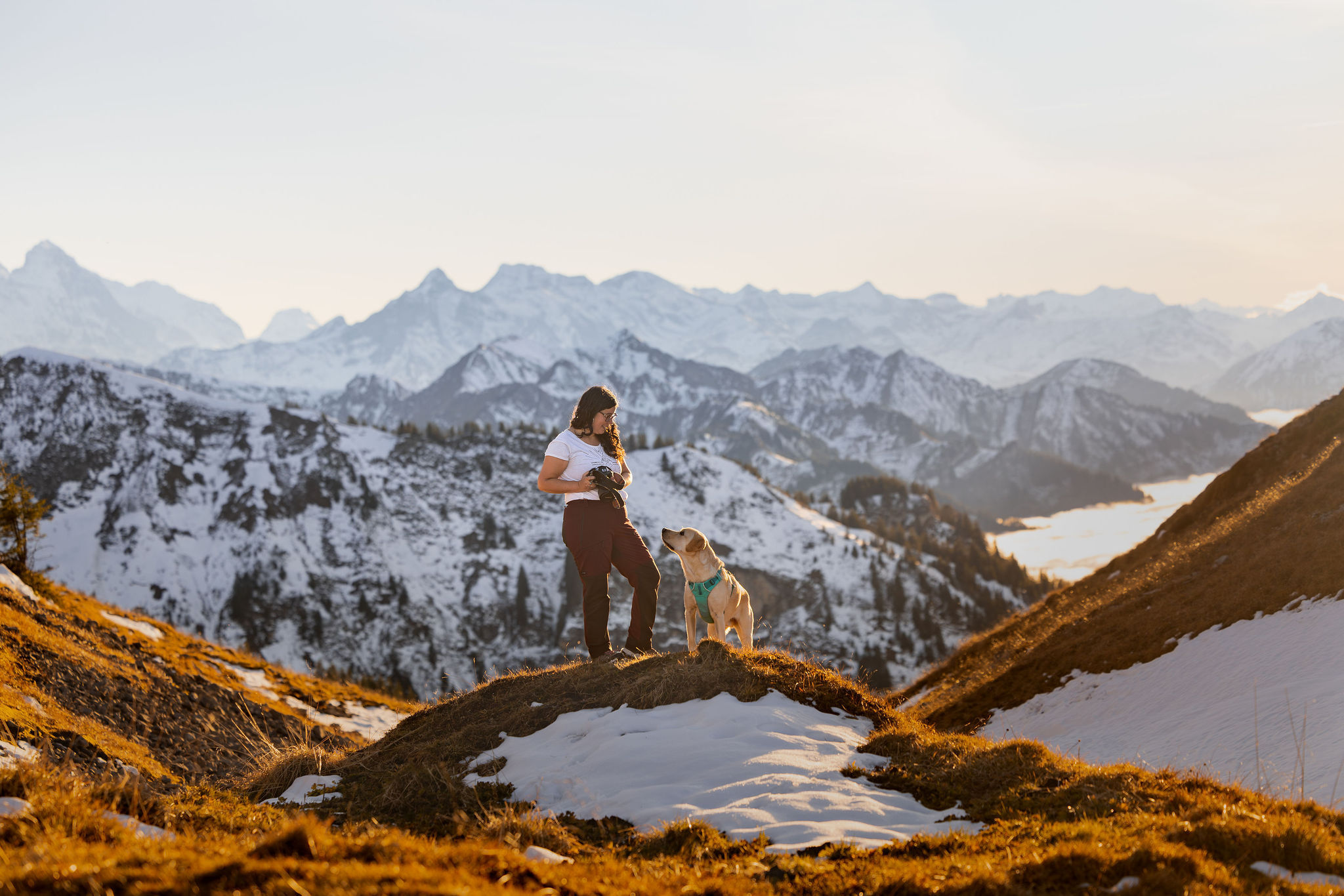 Photographe d'animaux de compagnie et son chien Labrador qui prennent des photos dans les montagnes suisses.